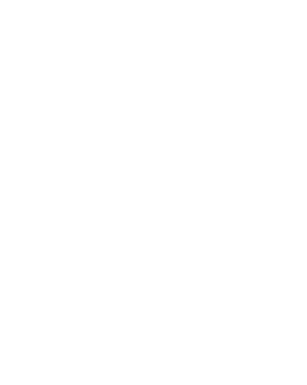 Decorative Elements